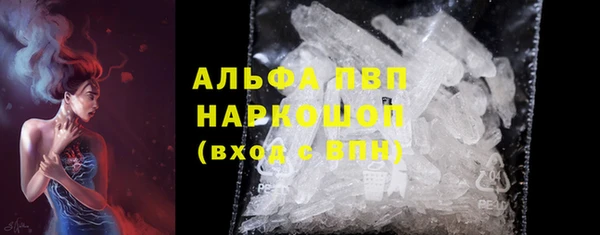 индика Балабаново
