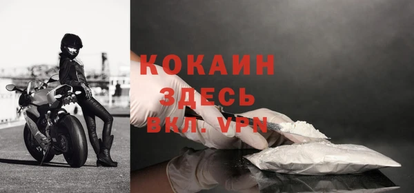 стаф Баксан
