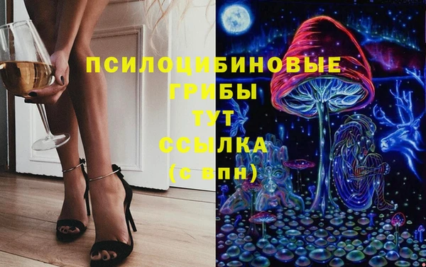 индика Балабаново