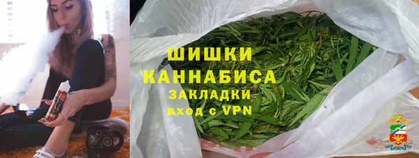 индика Балабаново