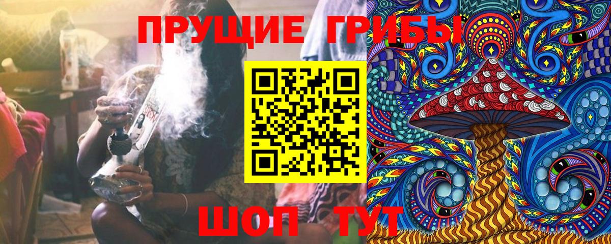 Галлюциногенные грибы Cubensis Корсаков